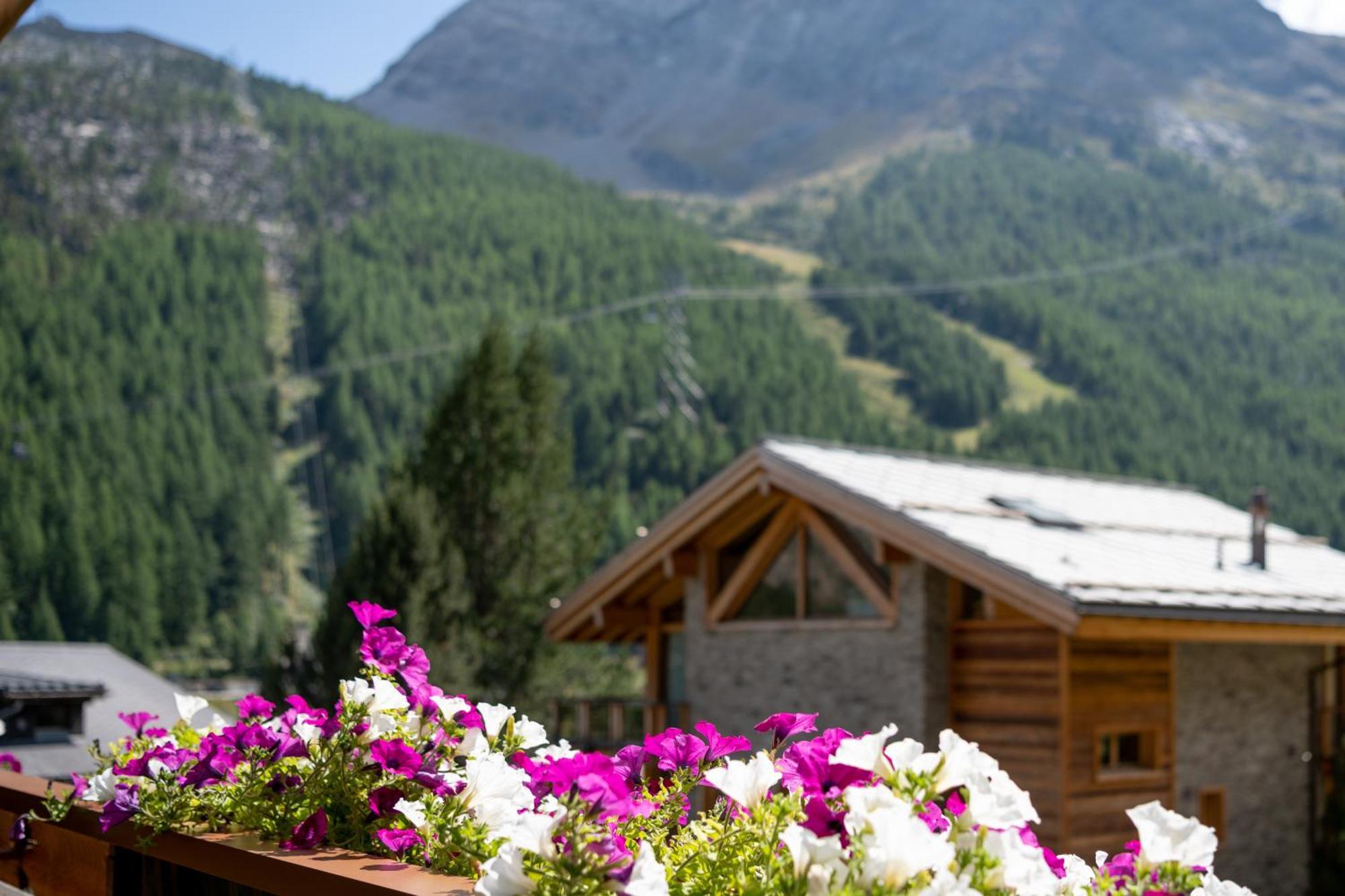 Haus Avalanche Appartement Saas-Fee Kamer foto